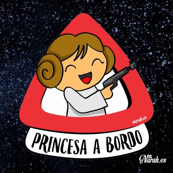 princesa leia a bordo narah